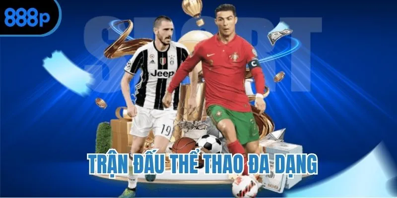 Nhiều trận đấu thể thao CMD sôi động