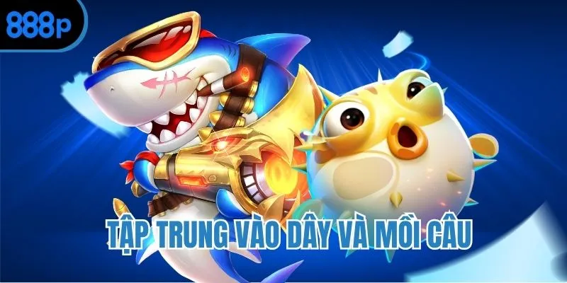 Lựa chọn dây và mồi câu phù hợp