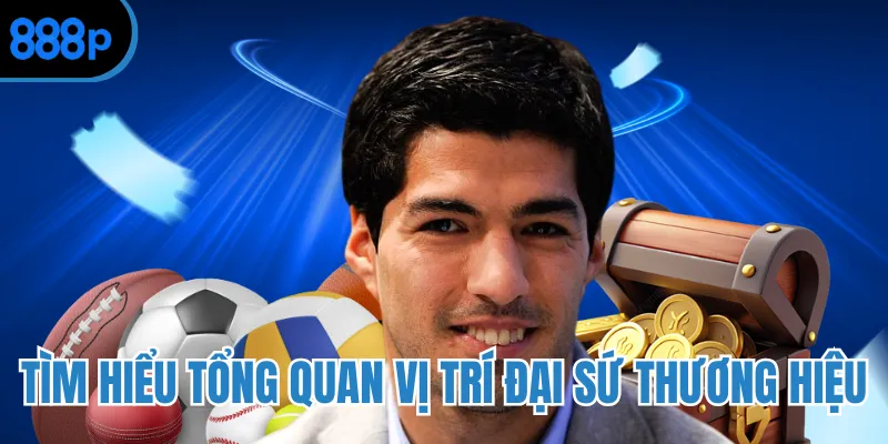 Tìm hiểu tổng quan vị trí đại sứ thương hiệu